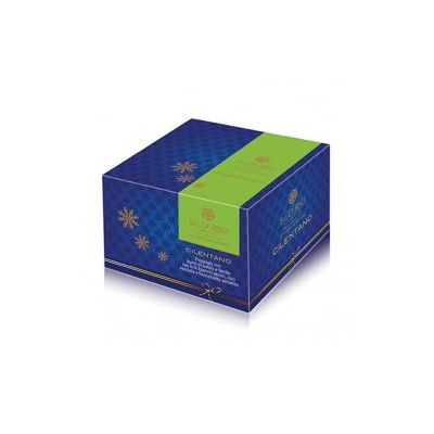 Panettone "Cilentano" Sal De Riso gr 500