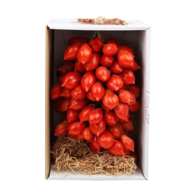 Pomodorino del Piennolo del Vesuvio DOP I Pomodori del Vulcano 1500 gr