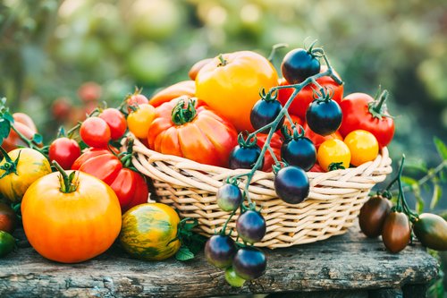 Biodiversità, il bene più prezioso.