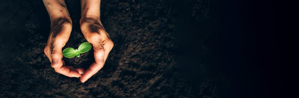 Sviluppo sostenibile e tutela dell’ambiente