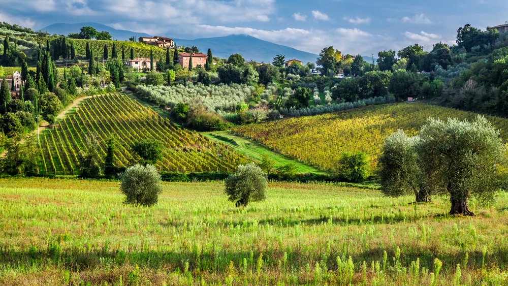Paesaggio