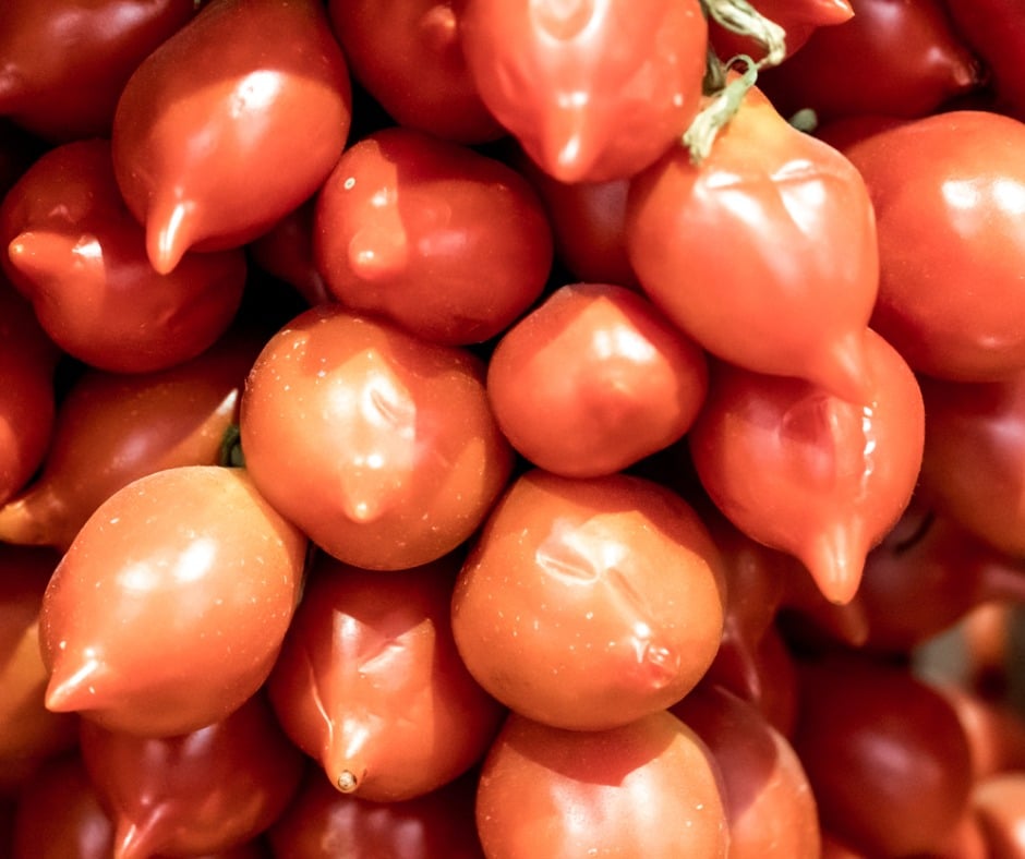 Pomodorino del Vesuvio DOP