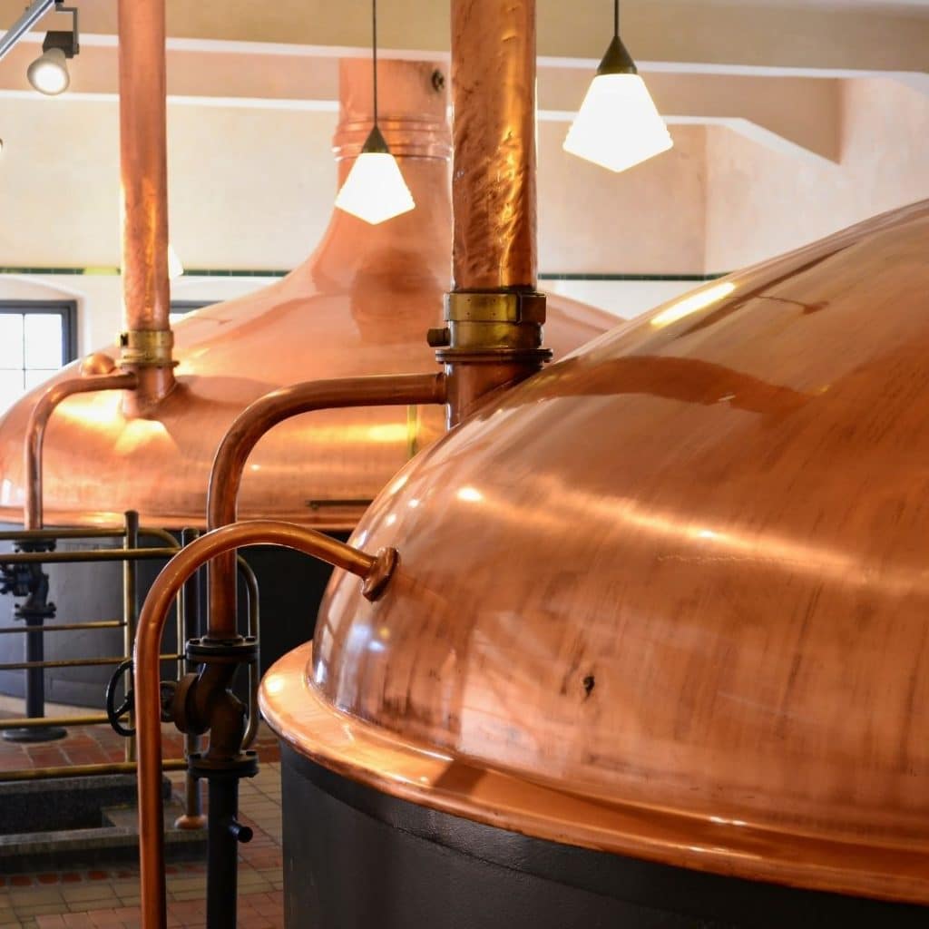 Fermentazione della birra artigianale