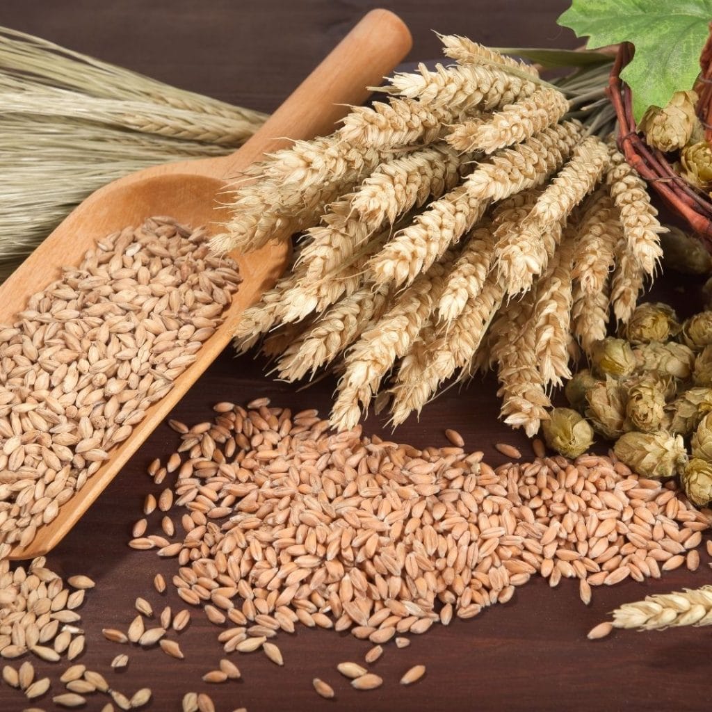 Ingredienti della birra artigianale